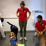 Terapias asistidas con perros (s'Hort Vell)
