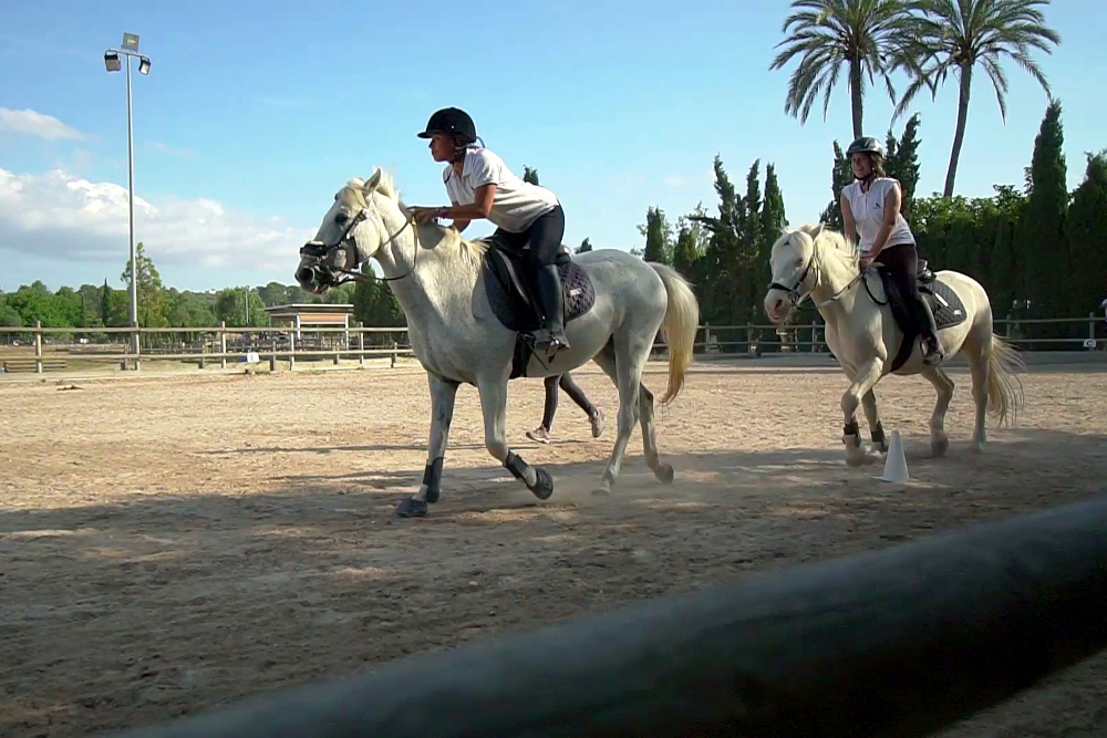 Terapias asistidas con caballos: equitación adaptada