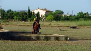 TREC - escuela de equitación S'Hort Vell
