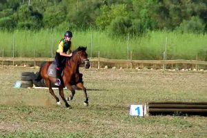 TREC - escuela de equitación S'Hort Vell