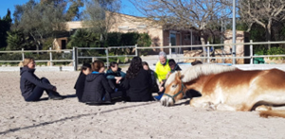 Intervenciones con caballos en el ámbito educativo