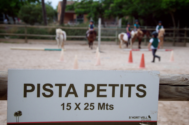 Pony Club: equitación consciente para niños en Mallorca
