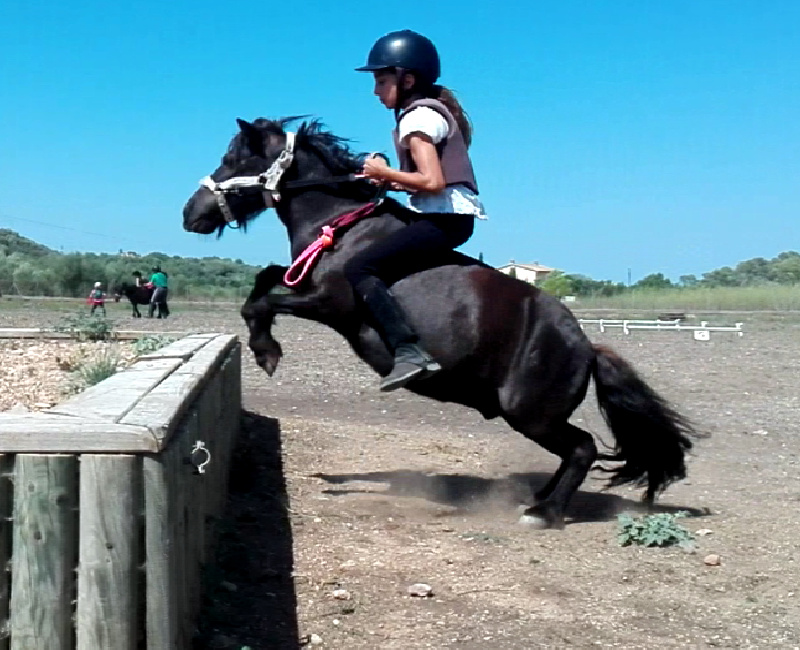 Pony Club: equitación consciente para niños en Mallorca