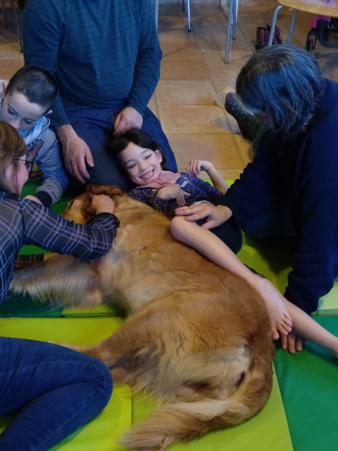 Terapias asistidas con perros: intervenciones con perros en el ámbito de la diversidad funcional