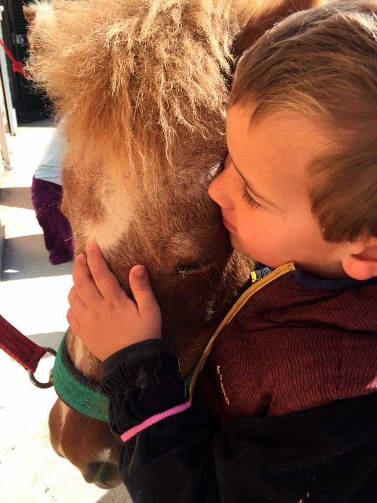 KIDS & Ponies, KIDS & Dogs, actividad para niños de 3 a 5 años