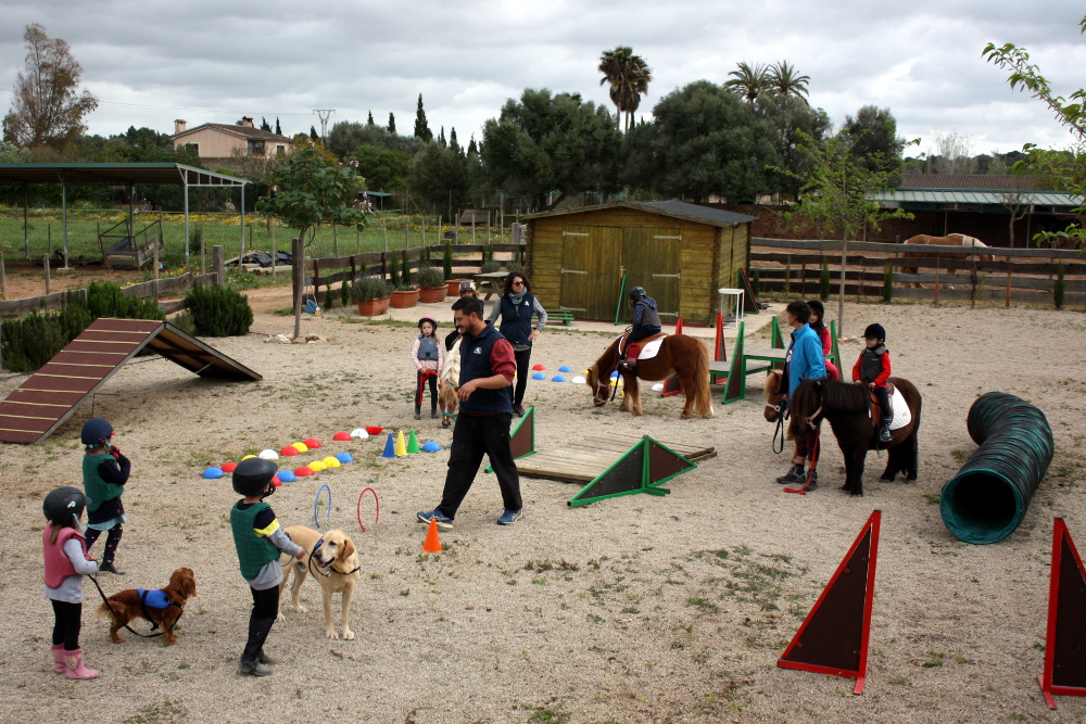 KIDS & Ponies, KIDS & Dogs, actividad para niños de 3 a 5 años