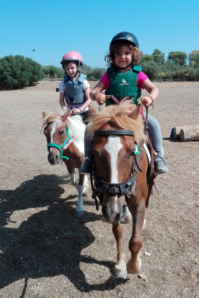 KIDS & Ponies, KIDS & Dogs, actividad para niños de 3 a 5 años