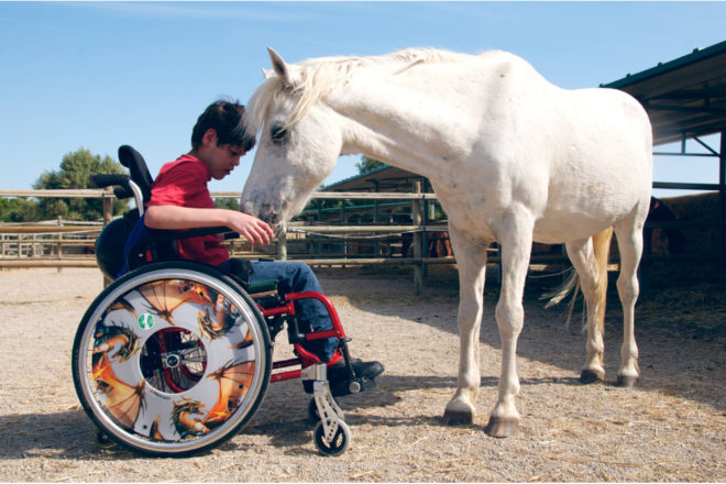 Terapias asistidas con caballos en S'Hort Vell