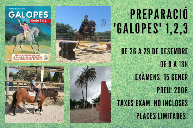 Talleres preparación 'Galopes' 1-3 (home)