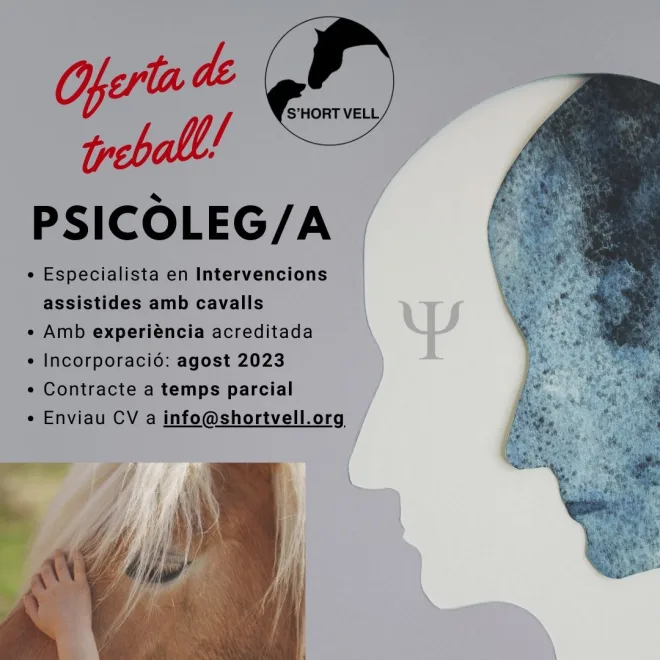 Oferta de trabajo: psicólogo/a especialista en Intervenciones asistidas con caballos