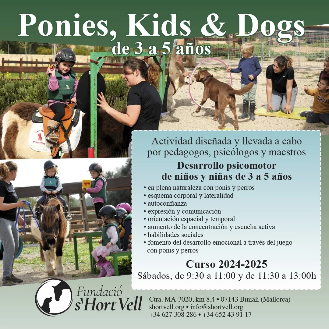 Ponies, Kids & Dogs