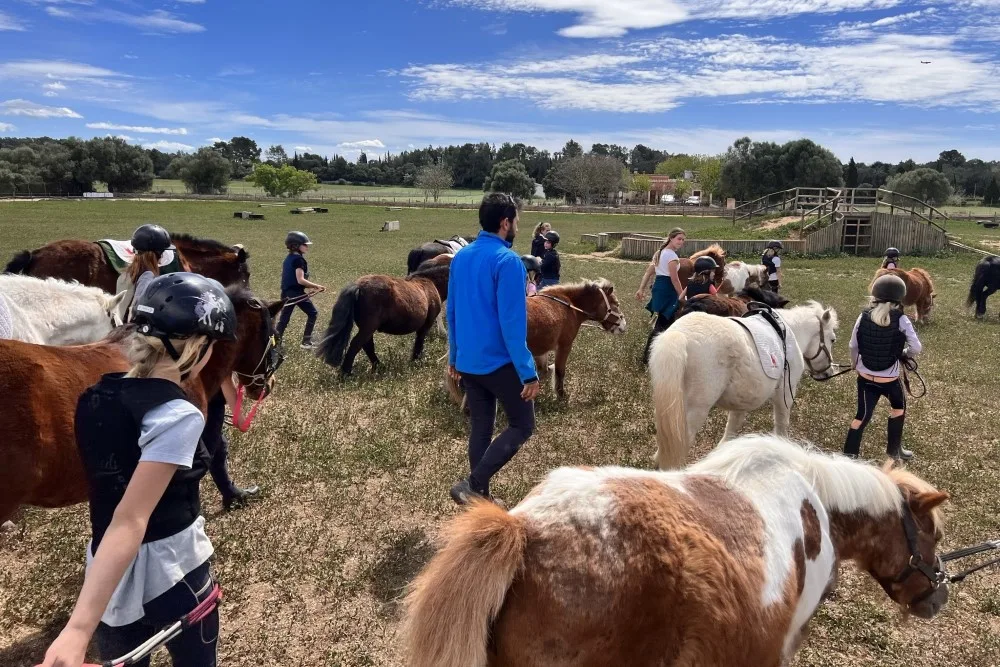 Equitación sensorial en S'Hort Vell, actividad "Baby Pony"