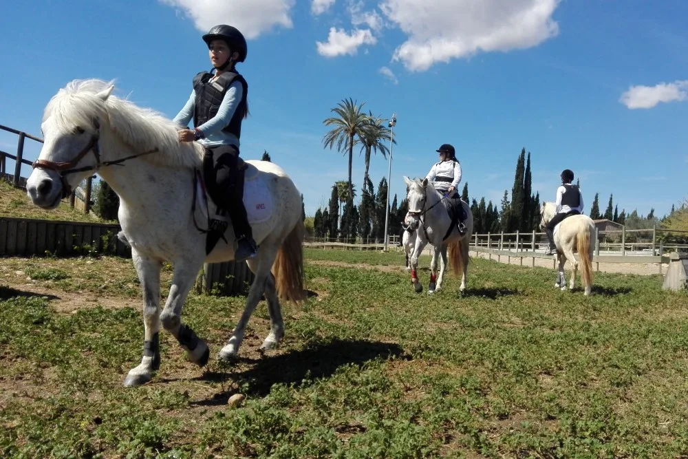 Equitación consciente en Fundació S'Hort Vell, para todas las edades
