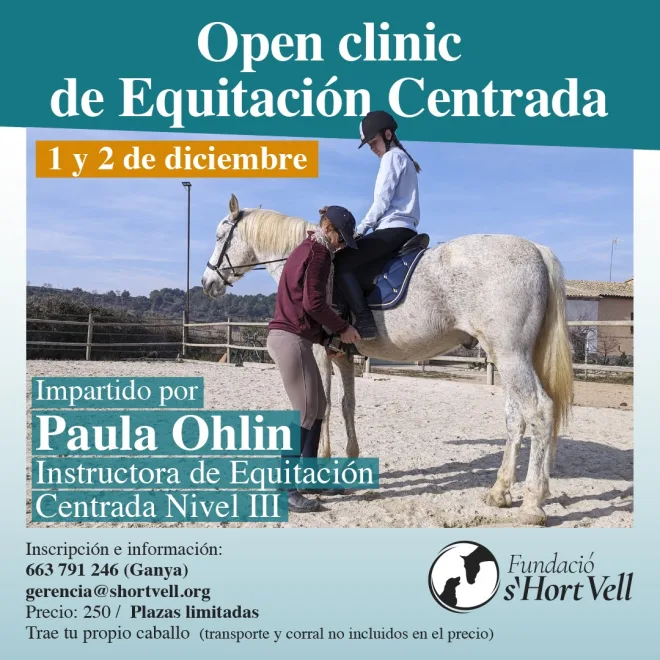 Open clinic de equitación centrada, con Paula Ohlin