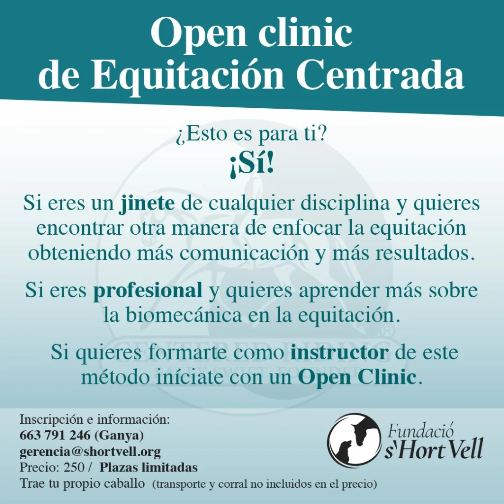 Open clinic de equitación centrada, con Paula Ohlin