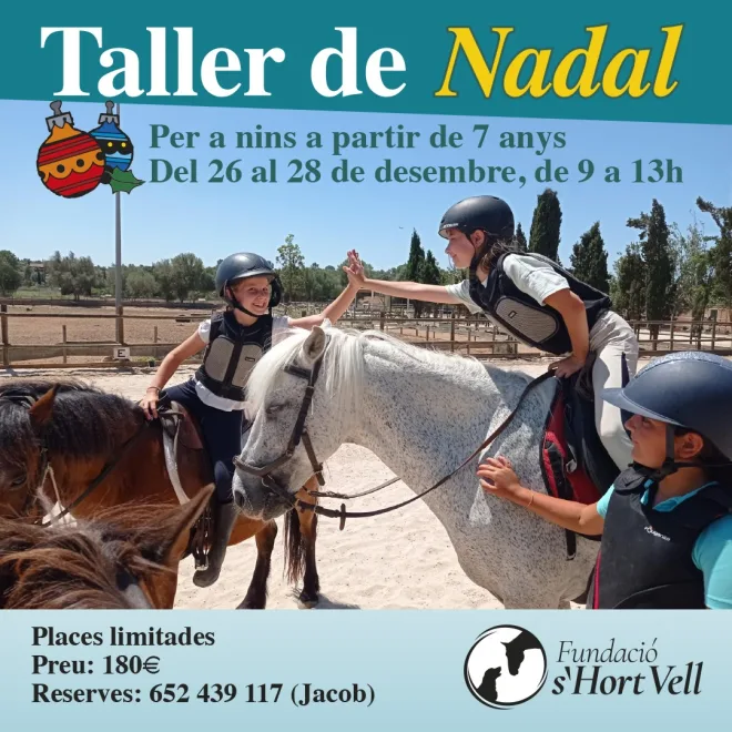 Taller vacaciones de Navidad 2024