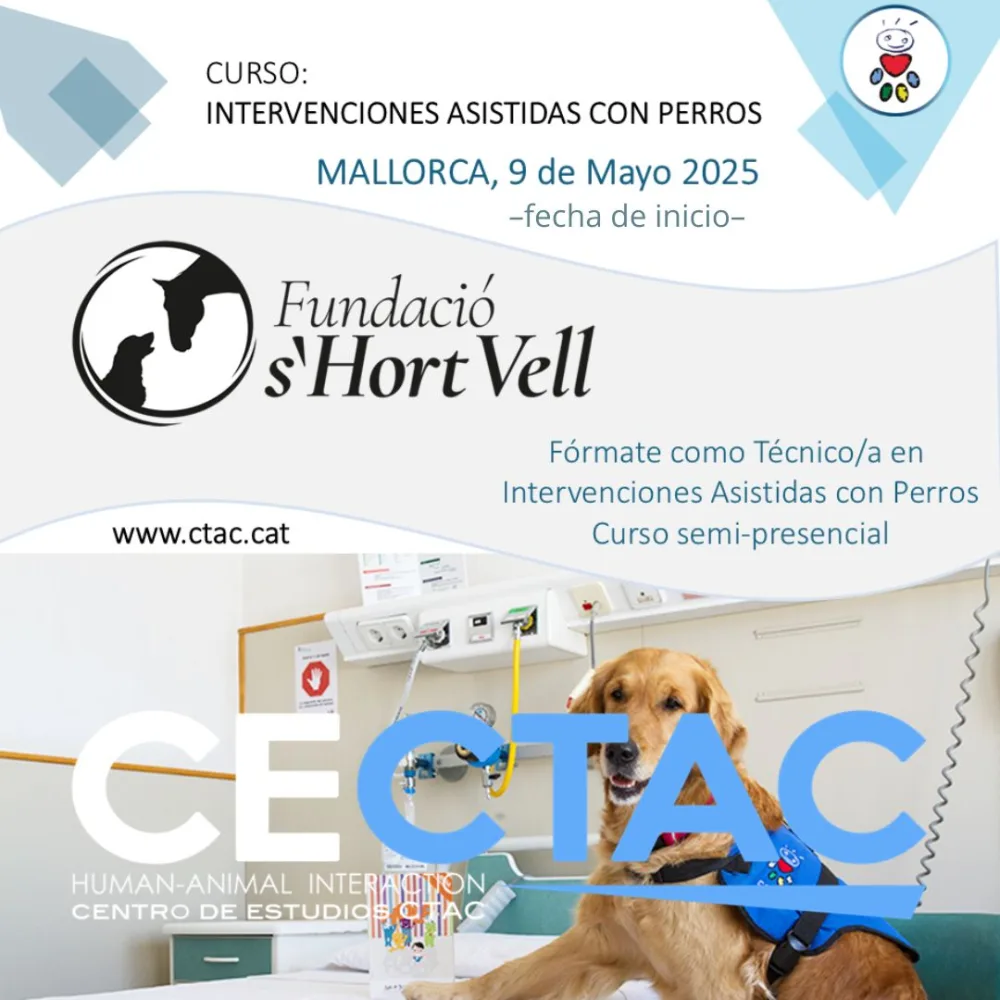 Curso CTAC en Mallorca, Intervenciones Asistidas con Perros, inicio mayo 2025